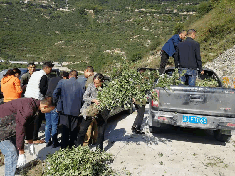 图片3_副本 图片3_副本