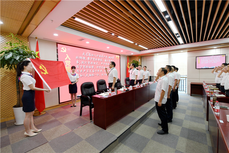 向党旗宣誓 向党旗宣誓